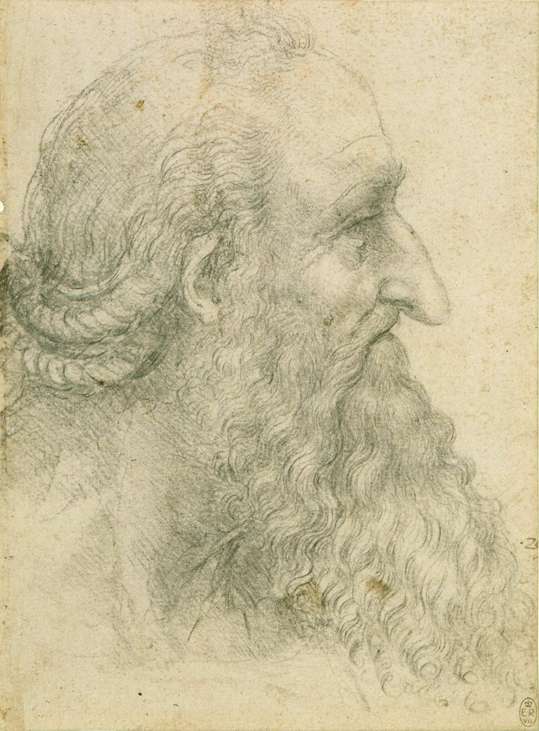 Leonardo da Vinci Illustration of Aging Men