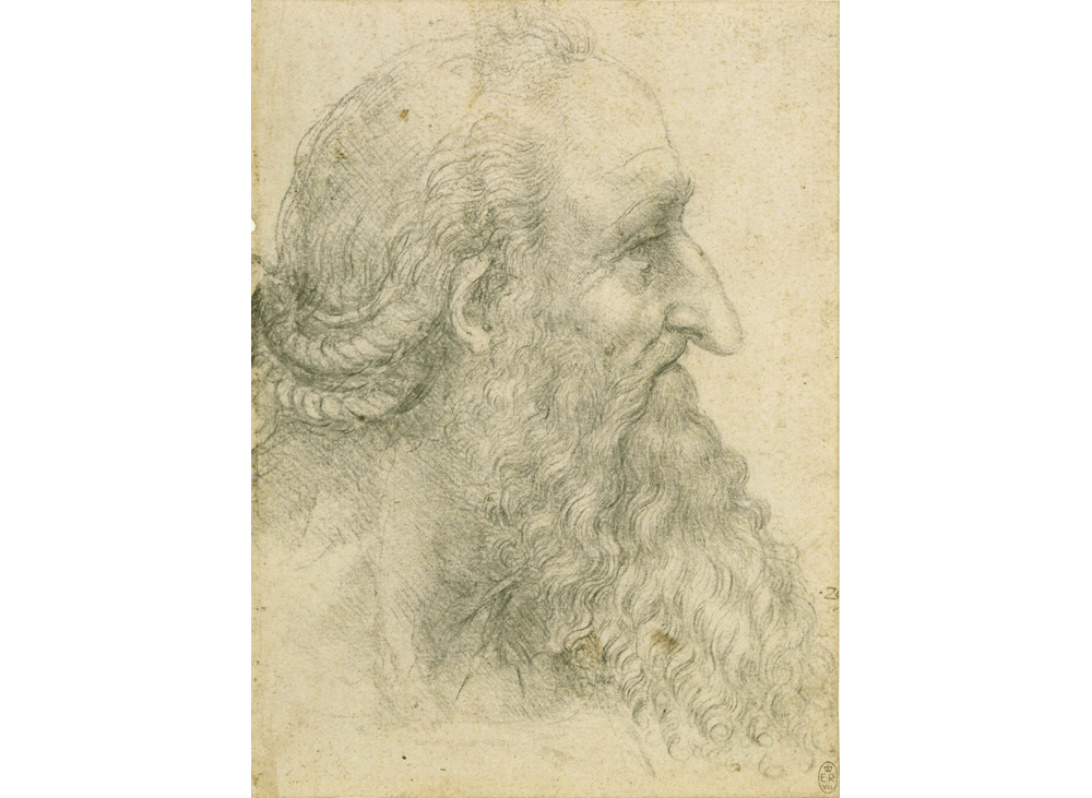 Leonardo da Vinci Drawing Aging Nose
