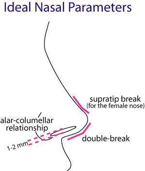 Ideal Nasal Parameters