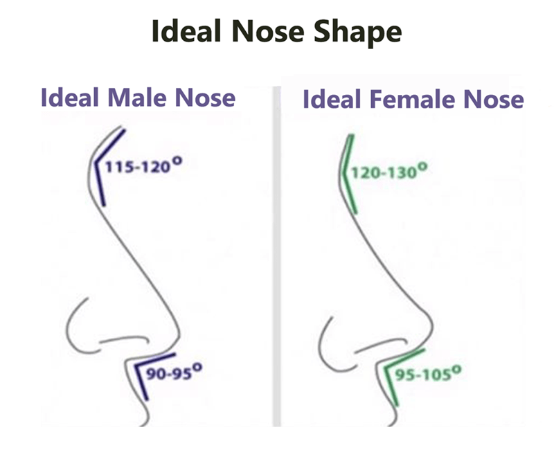 Ideal Nose Shape for Male & Female Rhinoplasty
